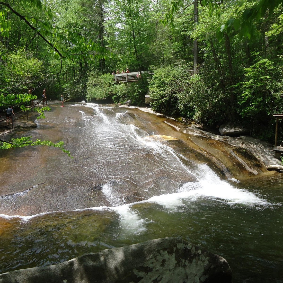 Some of Our Favorite Hikes in NC